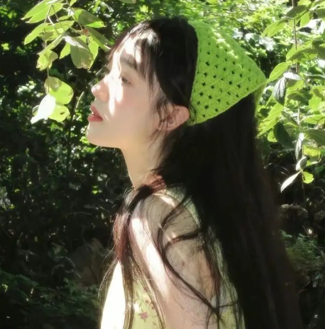 认识狗狗